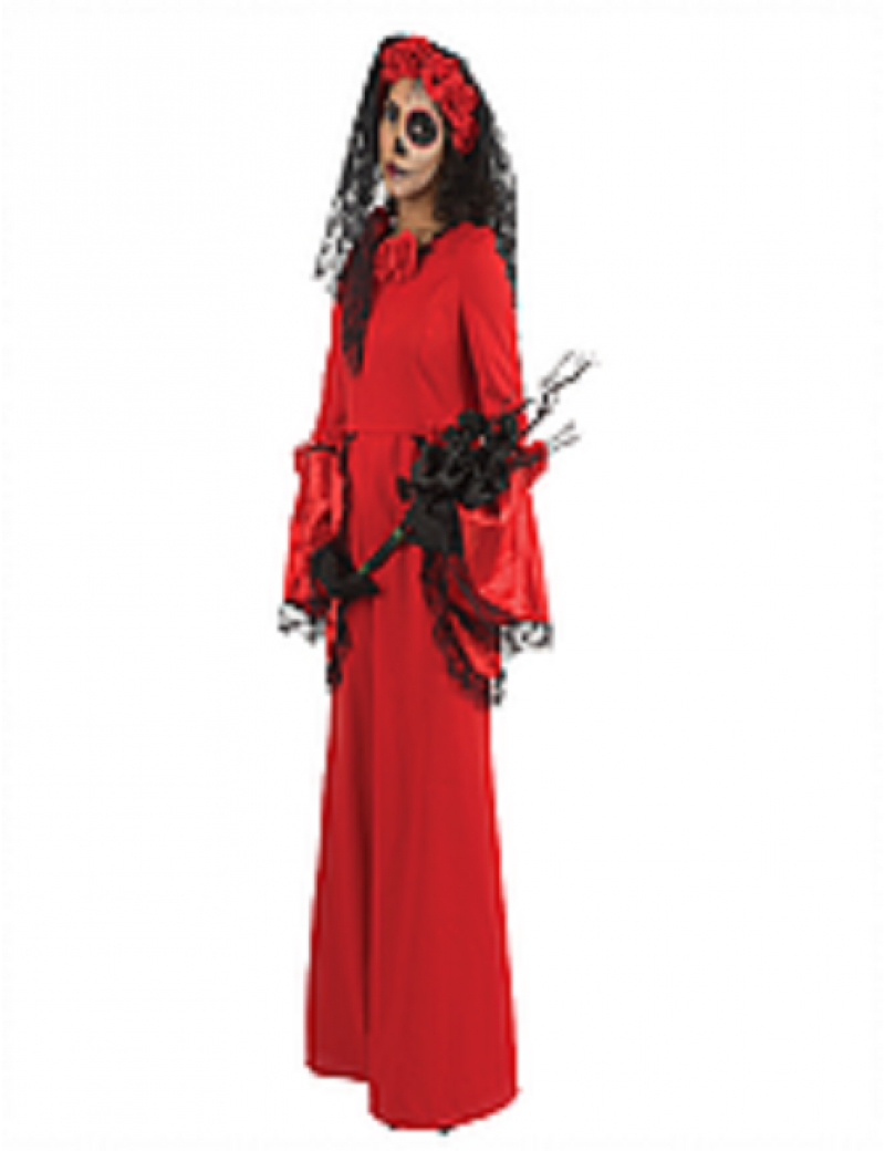 Mexican Day Of The Dead Woman’s Costume 