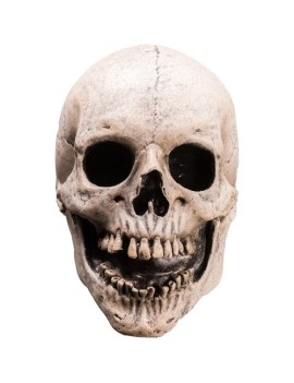 Fear Street Skull Killer Mask