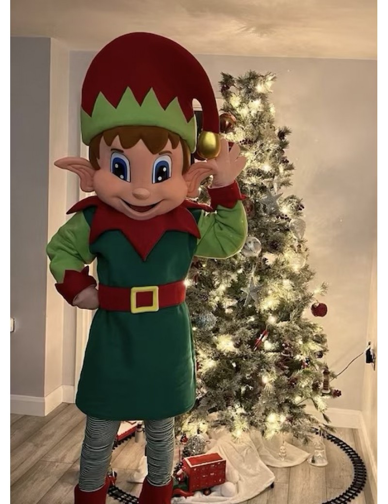 Professional Elf Mascot Costume