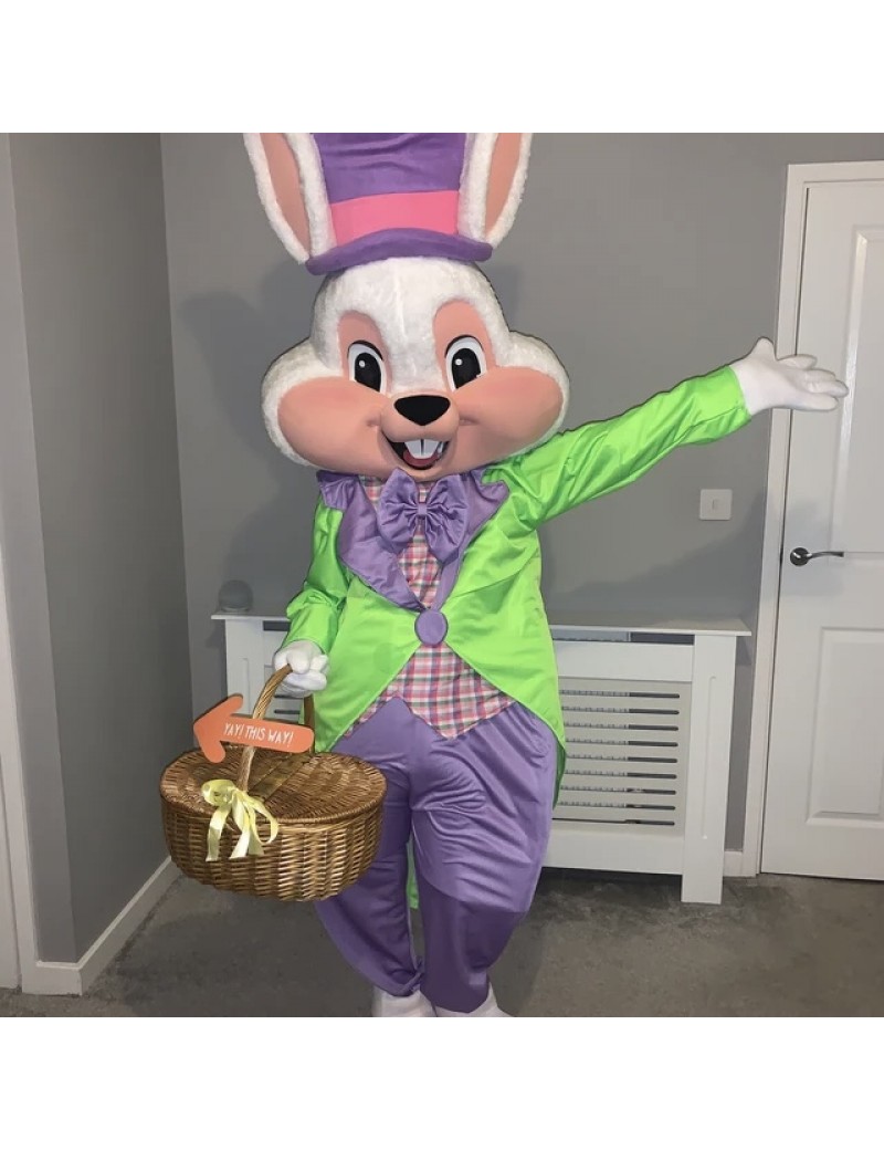 Professional Easter Bunny Mascot Costume