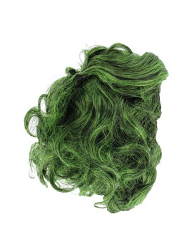 The Joker Green Wig