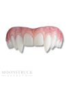 Moonstruck Effects Lost Boys Vampire ProFX Teeth