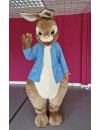 Professional Brown Rabbit Mascot Costume