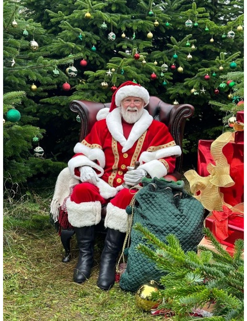 Professional Santa Claus Costume