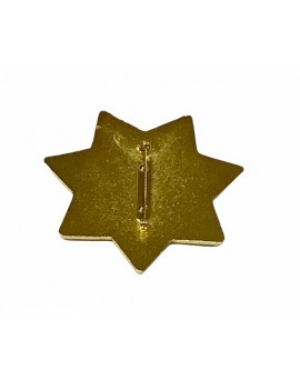 Kings County Sherrif Star Pin Badge