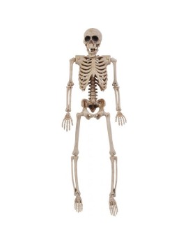 14" Posable Skeleton