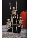 14" Posable Skeleton