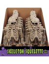 14" Posable Skeleton