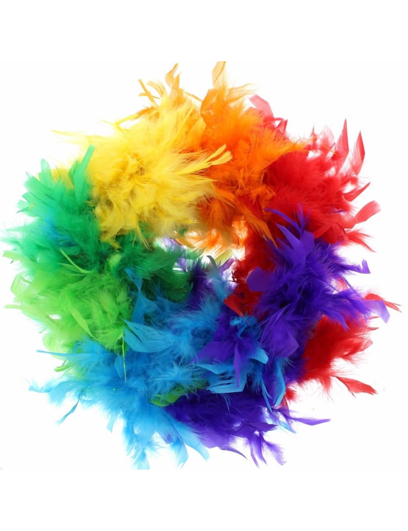 Feather Boa Gay Pride Rainbow Multicoloured Stylex Party ST4896