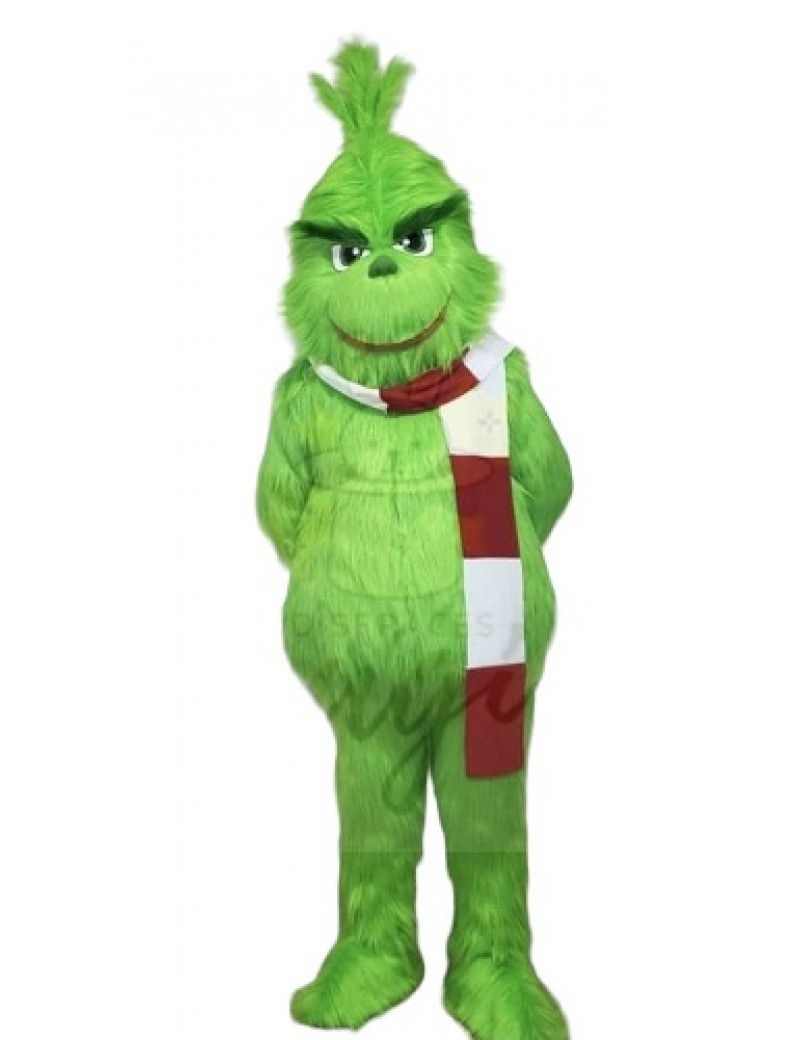 Professional Grouch Mascot Costume