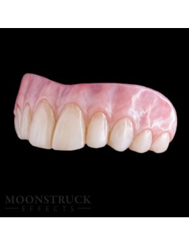 Moonstruck Effects Winifred ProFX Teeth