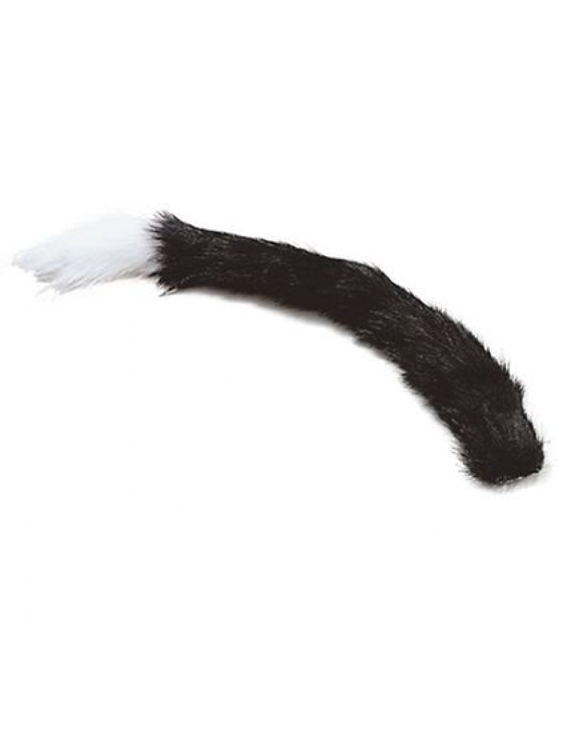 Cat Tail Black With White Tip 