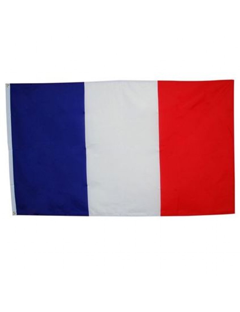 French tricolor polyester large european flag 5 x 3  party room decoration Bristol Novelty PG015