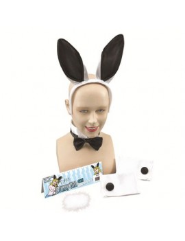 Playboy Bunny Girl Accessory kit Bristol Novelty DS104