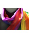 Rainbow Satin Neck Scarf 