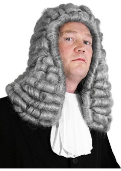 Judge Wig Grey Deluxe