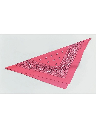 Pink Cowgirl Bandana