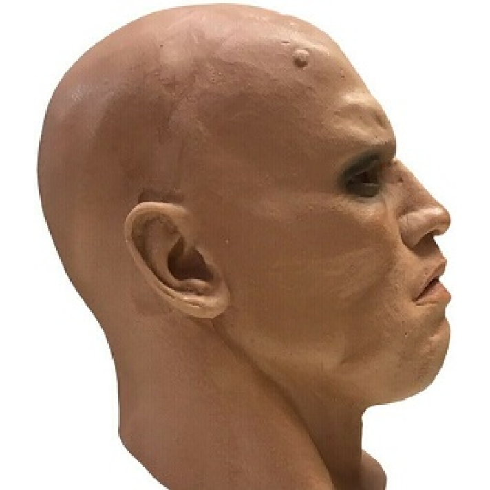 Arnold Mask