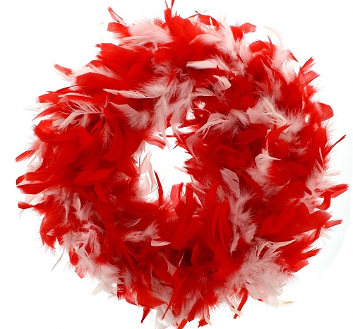 Red And White Feather Boa