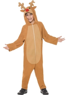 Boys All In One Reindeer Costume