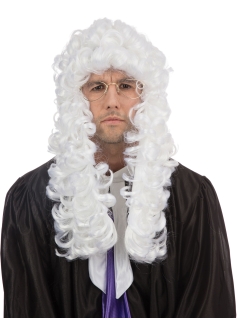 Bristol Judge Wig BW339