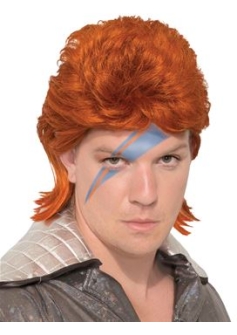Bristol Novelty ziggy wig X78384