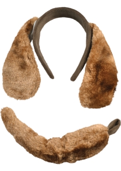 Dog Set