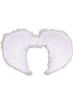 Feather Wings White BA1098