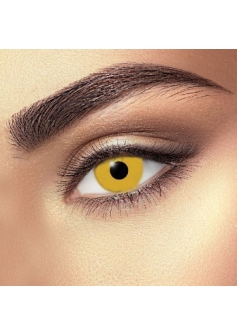 Funky Demon Nun 84205