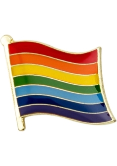 Gay pride Pin Badge