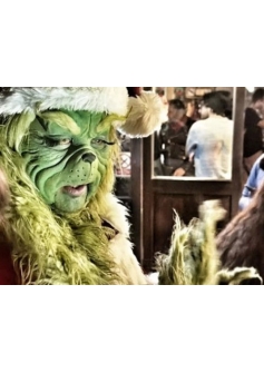 Grinch Prosthetic