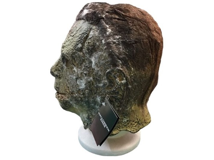 Halloween Ends Michael Myers Mask