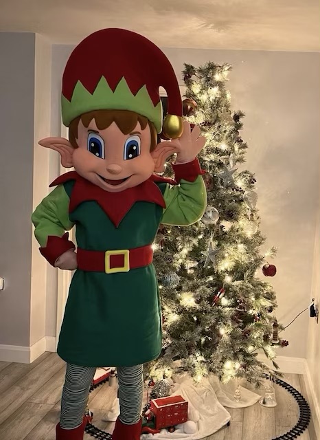 Professional Elf Mascot Costume