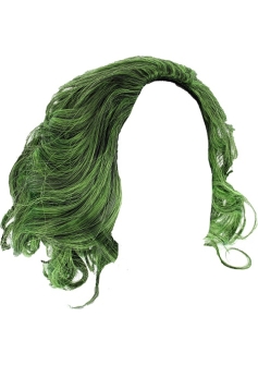 Joker Wig