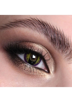 Mes Purple Kitty Lenses