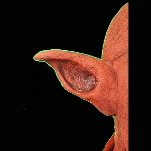 Monster Foam Latex Prosthetic Ears