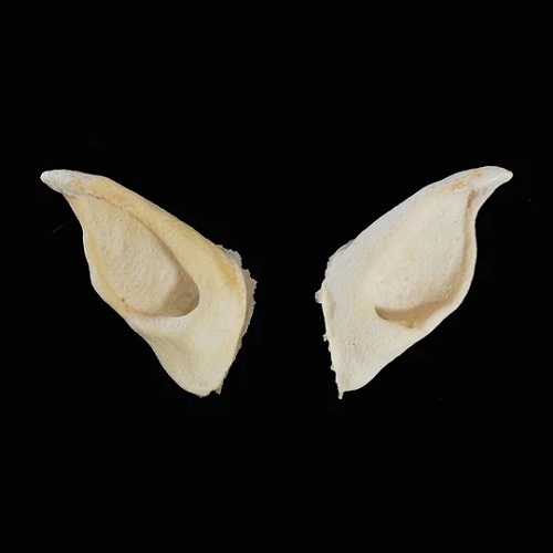 Monster Foam Latex Prosthetic Ears