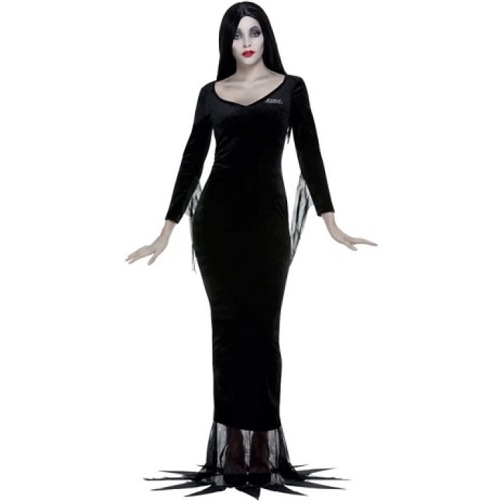 Womens Morticia Costume