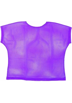 Neon Mesh Top Purple