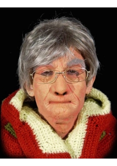 OAP Painted