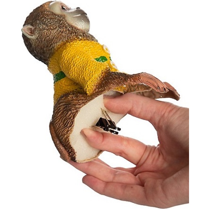 Hand Shoulder Prop