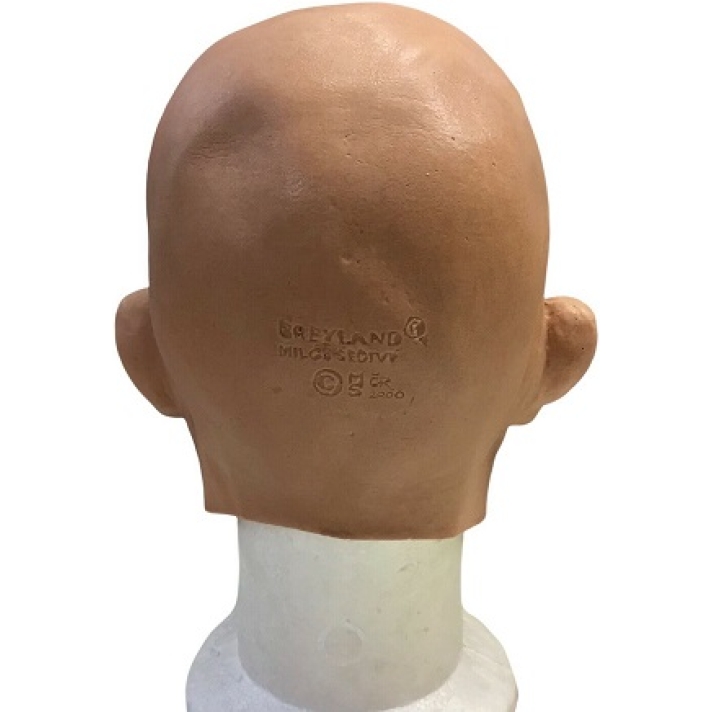 Professor Howard Mask