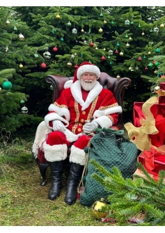 Santa Alan Chair