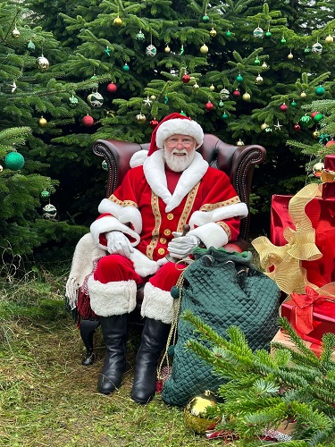 Professional Santa Claus Costume