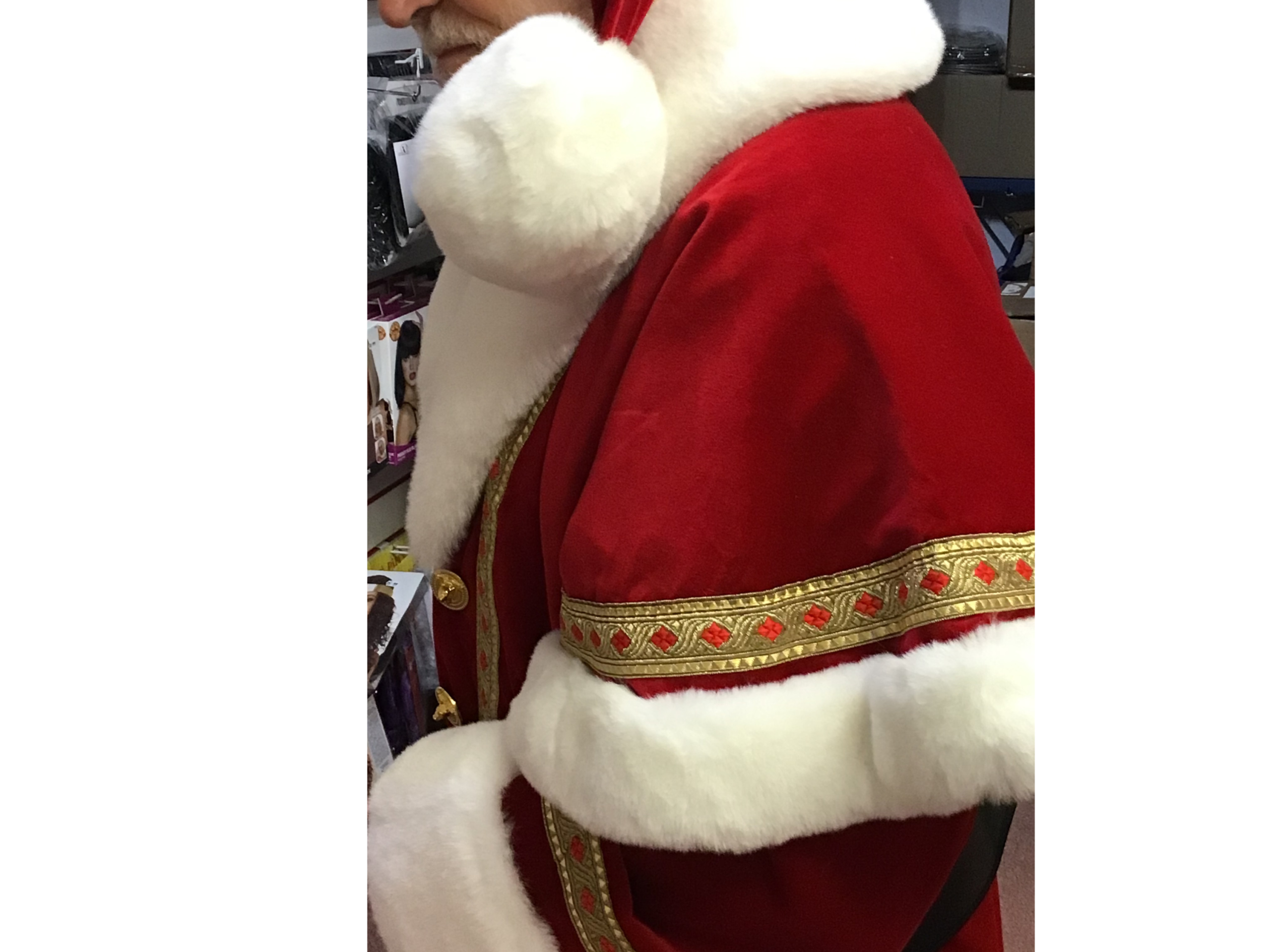 Professional Santa Claus Costume