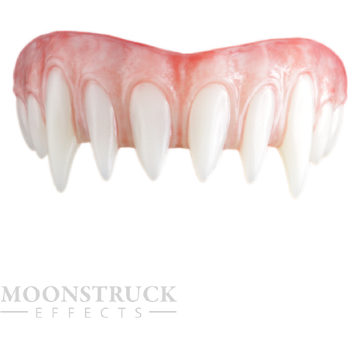 Moonstruck Effects Saphira ProFX Upper Teeth
