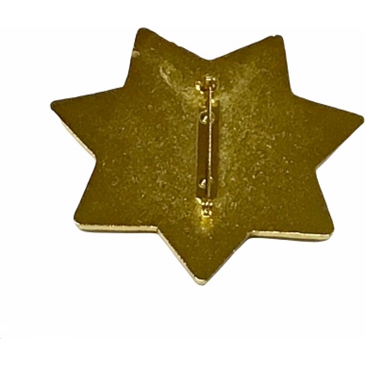 Kings County Sherrif Star Pin Badge