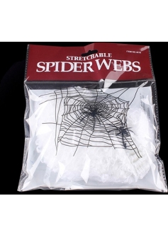 Spider Web White