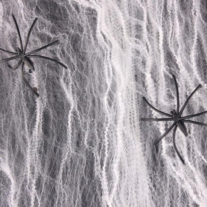 White Spider Web