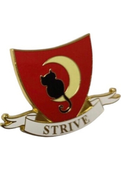 Strive Pin Badge Red Etsy